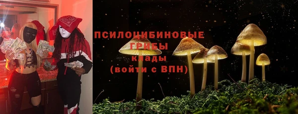 СК Алексеевка