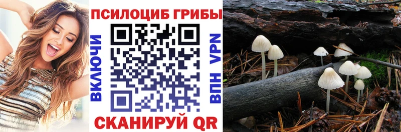 Псилоцибиновые грибы мухоморы  Купить где  Боготол 
